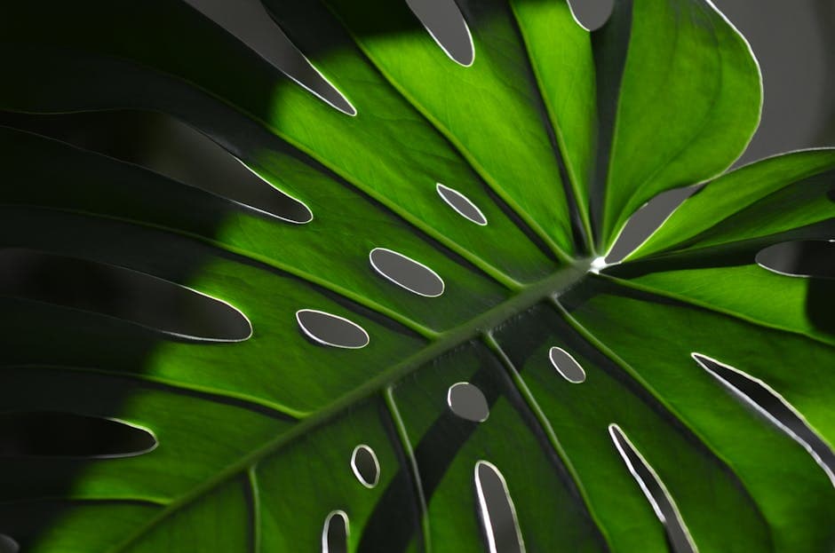 Biophilic Deco aesthetic idea with marble (5)