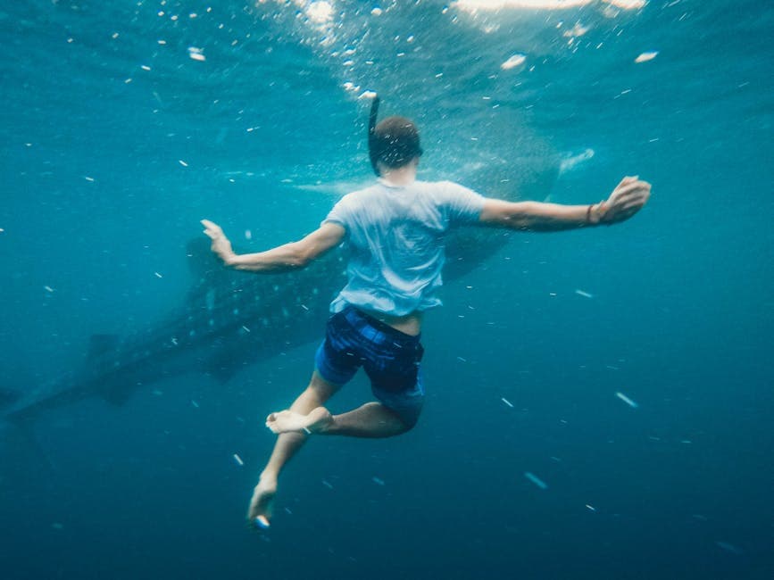 Aquatic Artisan outfit idea with recycled denim