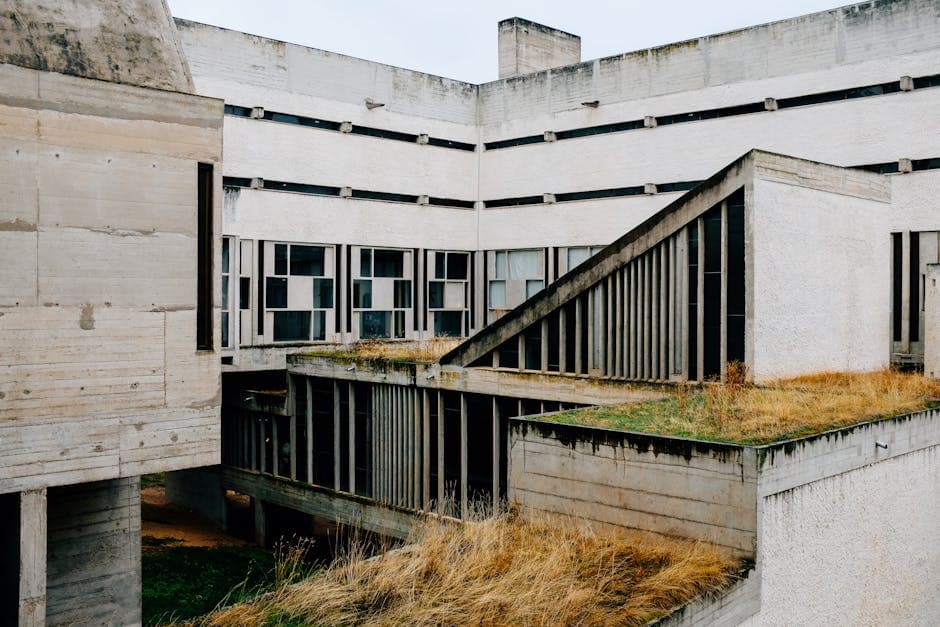 Brutalist Organic architecture idea with large cantilevers