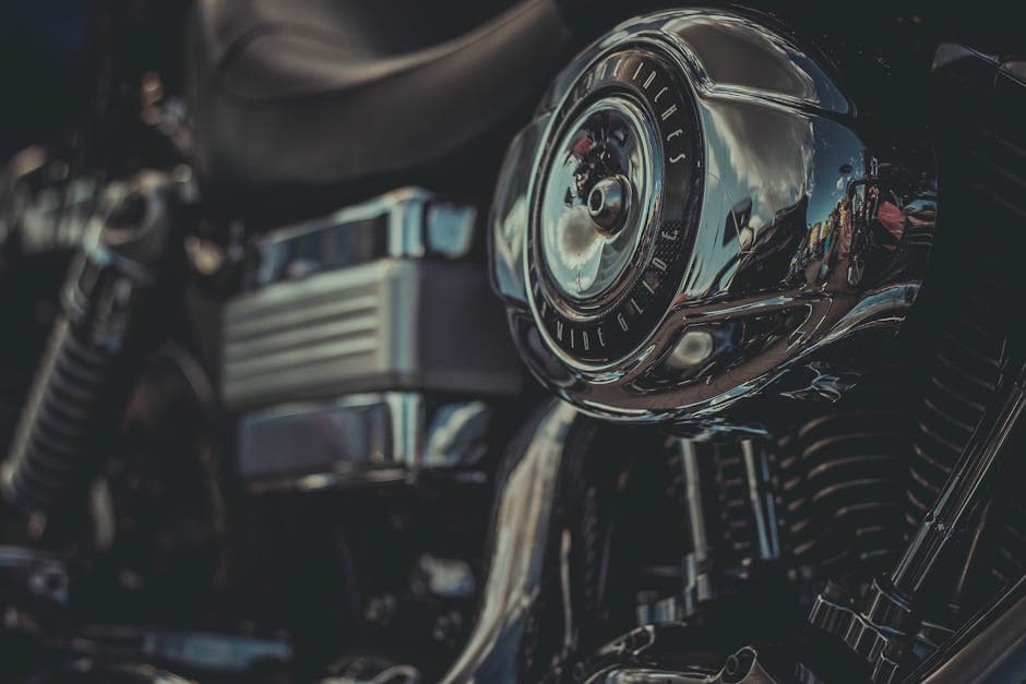 Baroque Biker moodboard image showing fitted