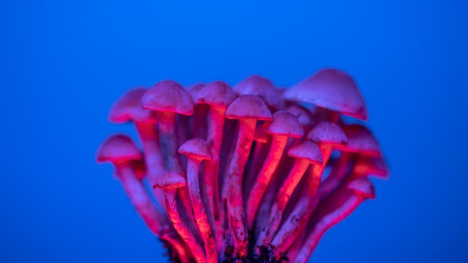 Bioluminescent Rave moodboard image showing bodycon