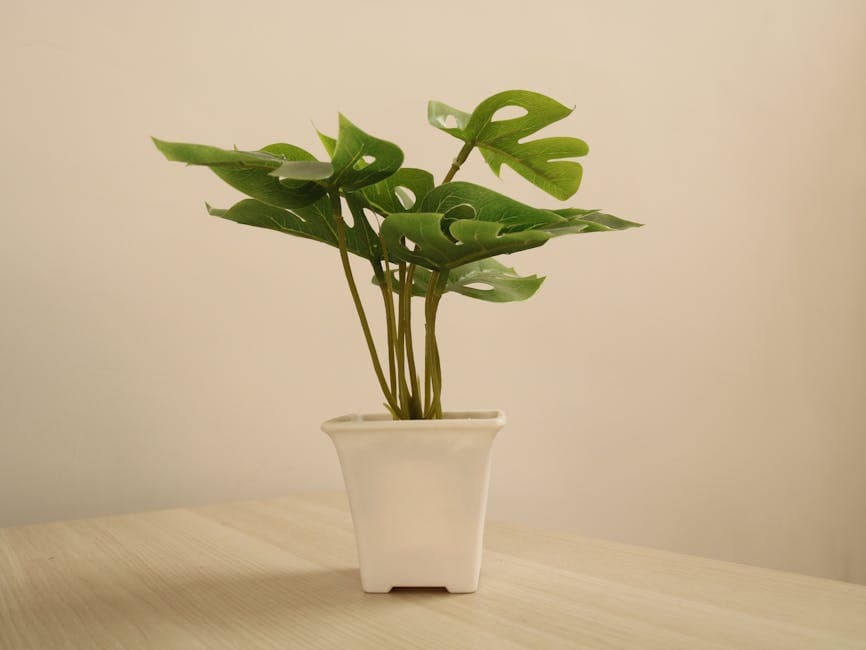 Cyberpunk Botanical aesthetic example featuring glass