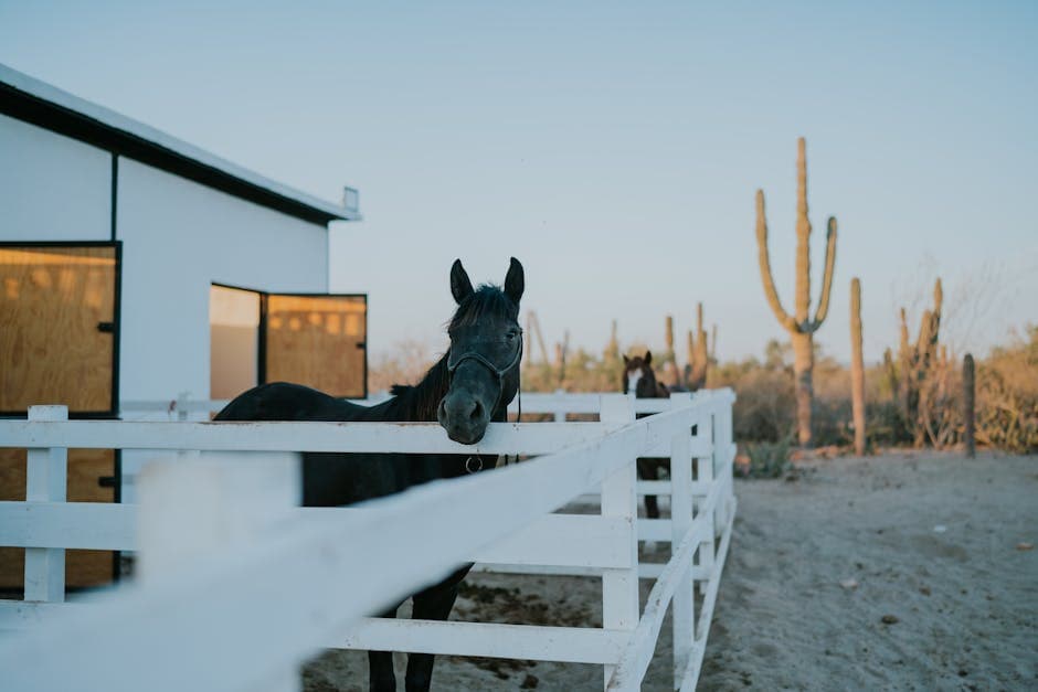 Desert Cyberpunk Ranch aesthetic idea with weathered wood
