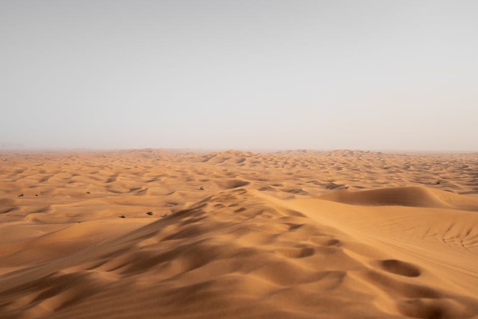 Desert Nomad Chic visual inspiration with canvas