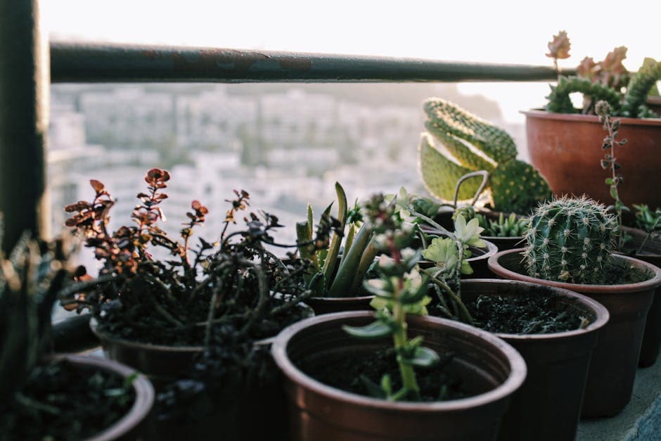 Dieselpunk Garden aesthetic idea with corrugated metal (5)