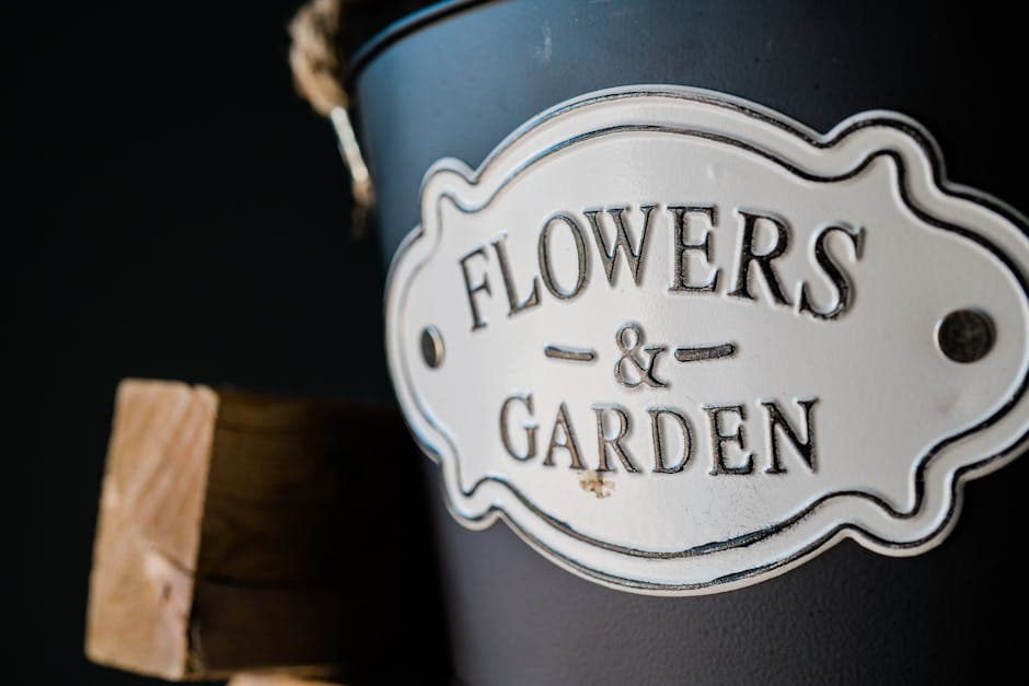 Dieselpunk Garden visual inspiration with succulents
