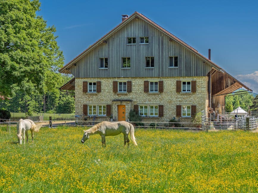 Equestrian Farmhouse aesthetic idea with leather