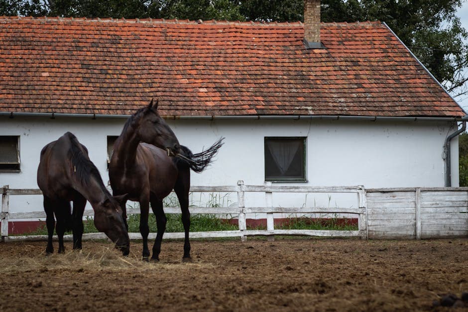 Equestrian Farmhouse moodboard image showing wood (6)