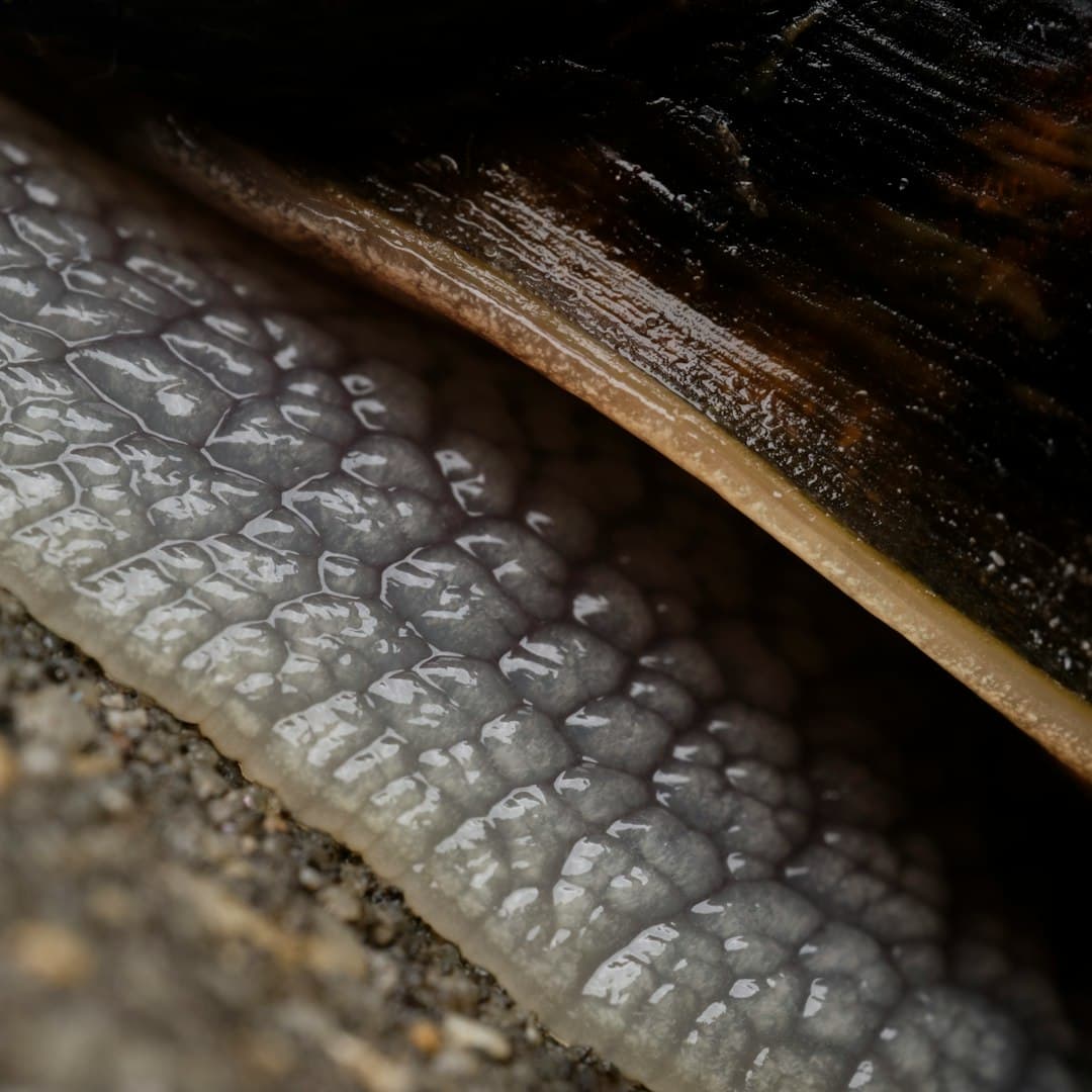 Equine Deco moodboard image showing polished wood (6)