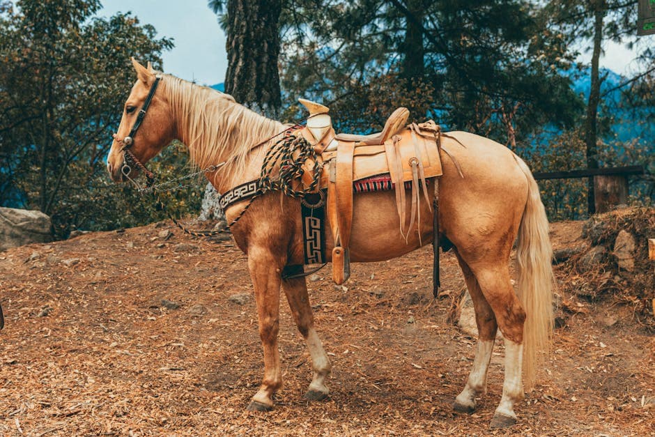 Equine Deco aesthetic idea with leather