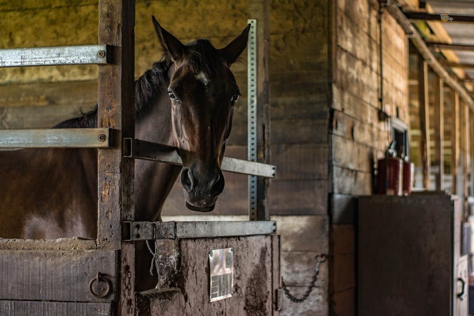 Equine Solarpunk moodboard image showing wood