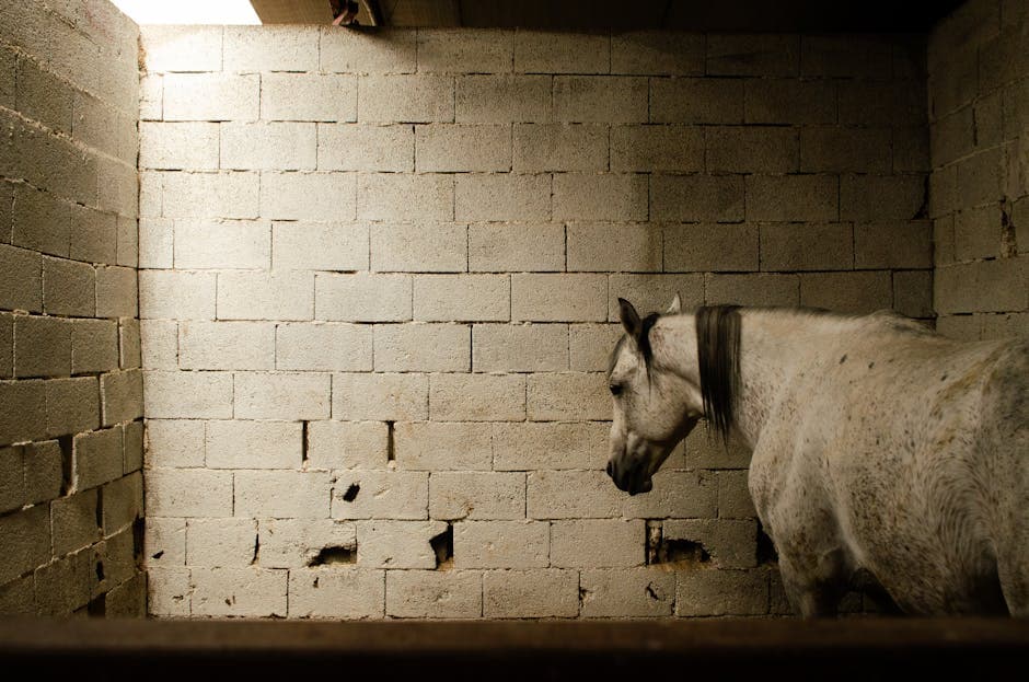 Equine Solarpunk moodboard image showing bamboo