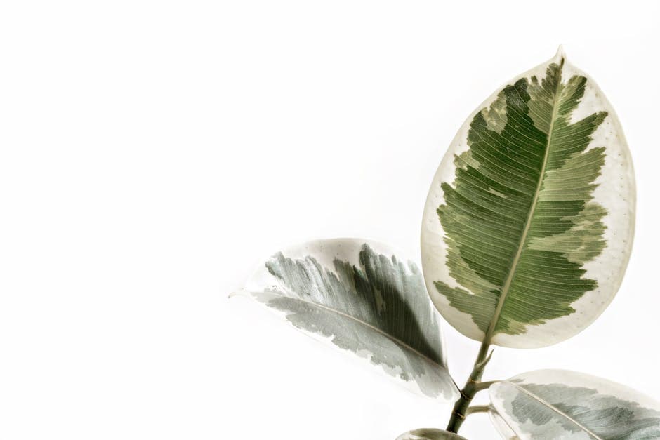 Greencore Eco Aesthetic moodboard image showing stone