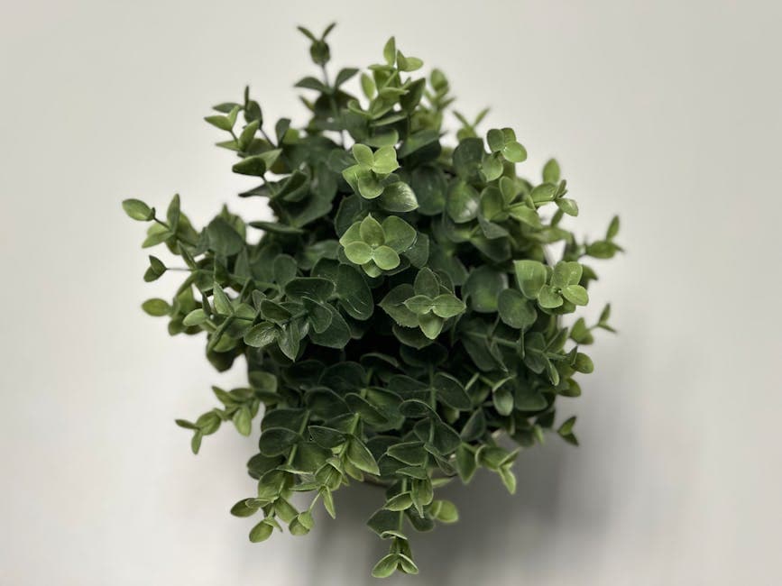 Greencore Eco Aesthetic aesthetic idea with linen