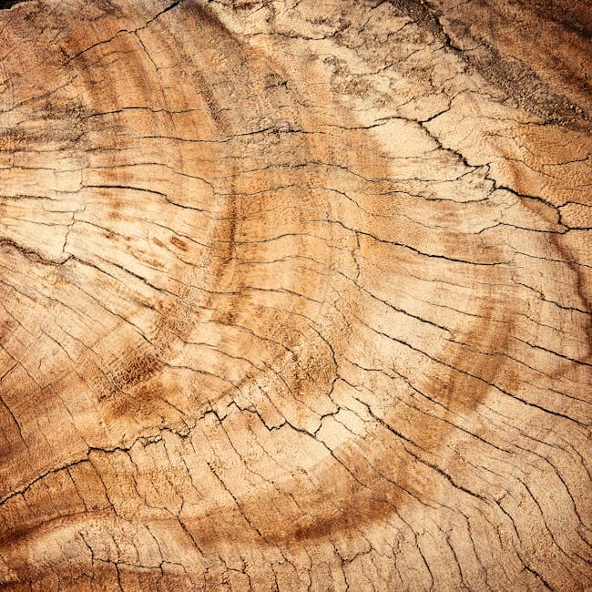 Greencore Eco Aesthetic moodboard image showing bamboo