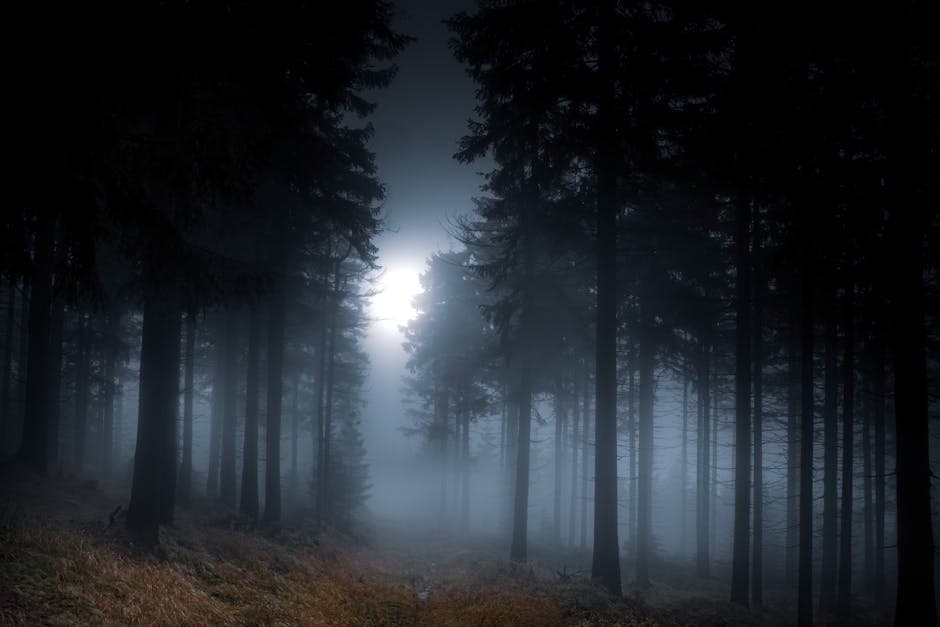 Industrial Enchanted Forest visual inspiration with velvet