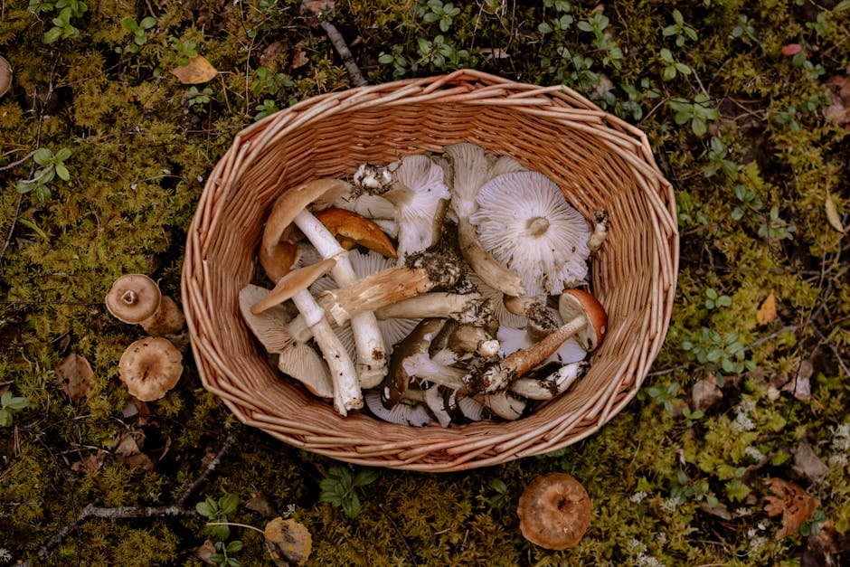Mushroom Modern aesthetic idea with wood (5)