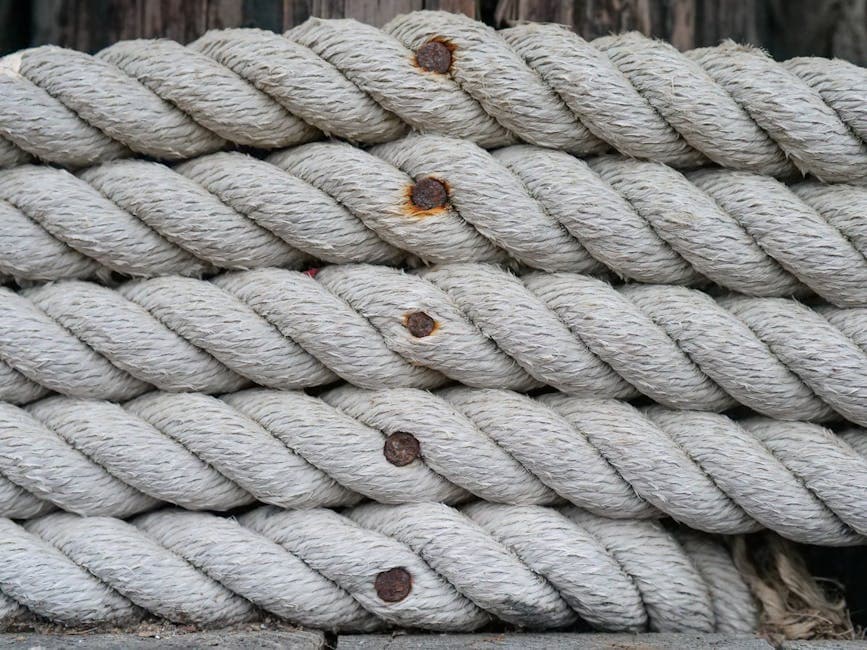 Nautical Cyberpunk moodboard image showing aged wood