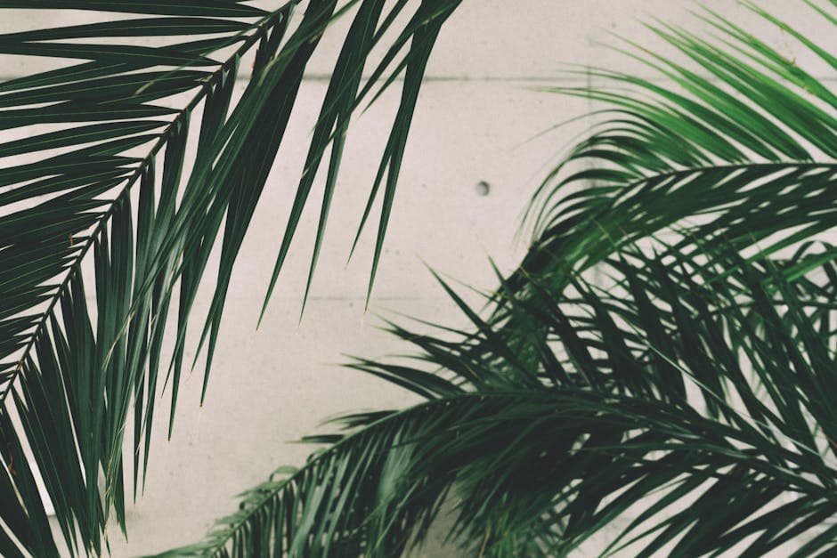Neo-Deco Biophilic aesthetic example featuring linen
