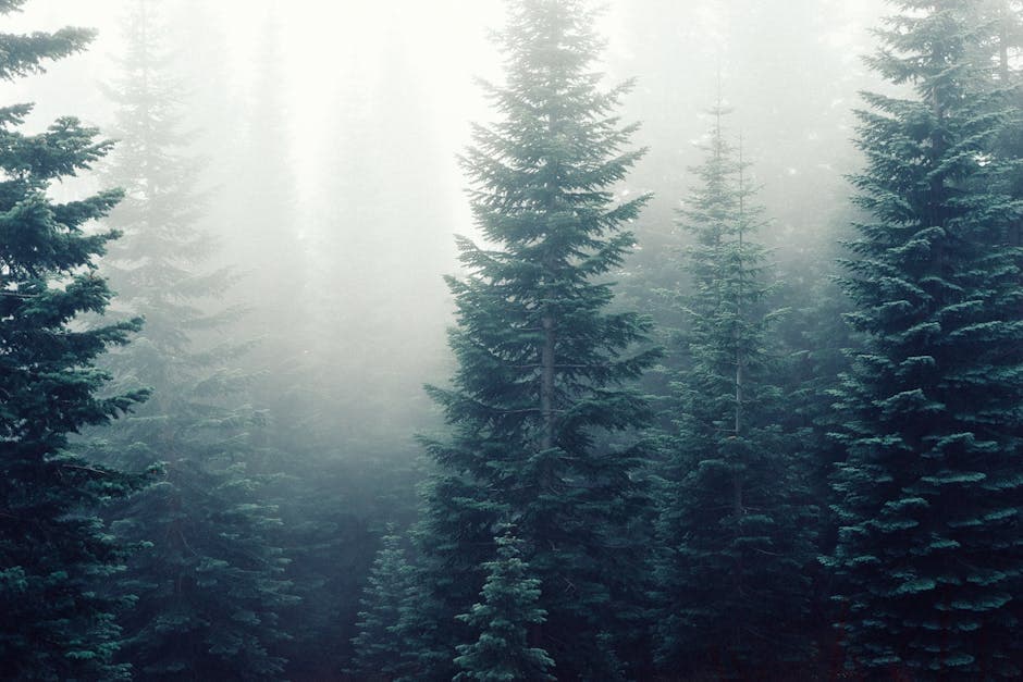 Brutalist Enchanted Forest aesthetic example featuring wood