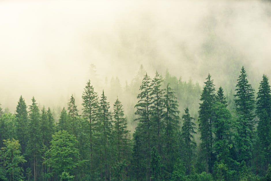 Brutalist Enchanted Forest aesthetic example featuring lush greenery